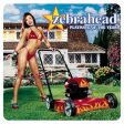 ZEBRAHEAD - PLAYMATE OF THE YEAR For Cheap