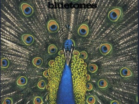 BLUETONES - EXPECTING TO FLY For Cheap