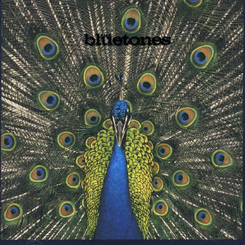 BLUETONES - EXPECTING TO FLY For Cheap